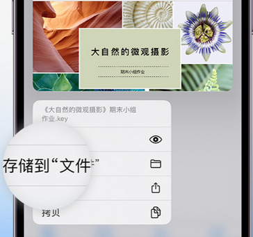 博白apple维修中心分享iPhone文件应用中存储和找到下载文件