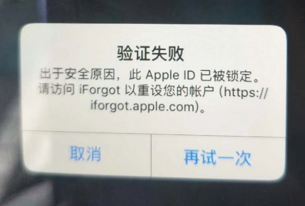 博白iPhone维修分享iPhone上正常登录或使用AppleID怎么办 