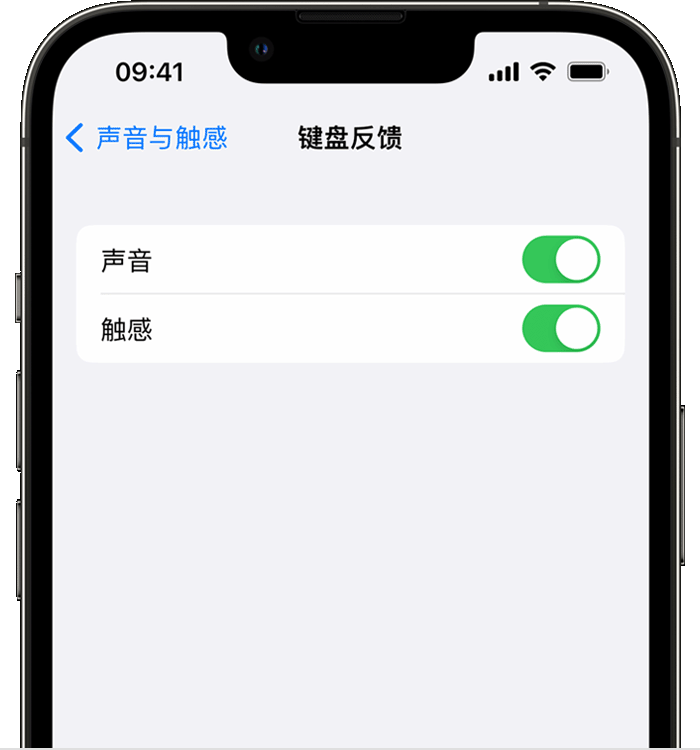 博白苹果14维修店分享如何在 iPhone 14 机型中使用触感键盘 