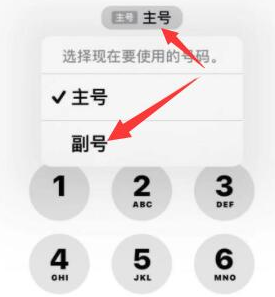 博白苹果14维修店分享iPhone 14 Pro Max使用副卡打电话的方法 