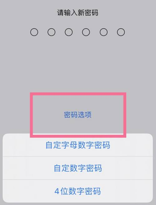 博白苹果14维修分享iPhone 14plus设置密码的方法 