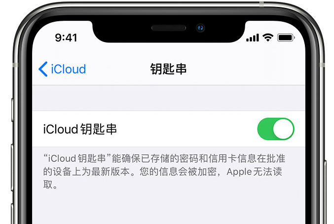 博白苹果手机维修分享在 iPhone 上开启 iCloud 钥匙串之后会储存哪些信息 