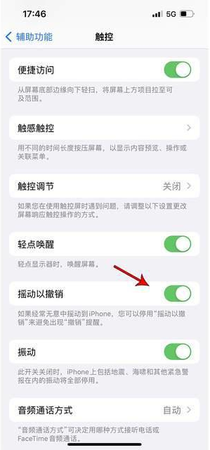 博白苹果手机维修分享iPhone手机如何设置摇一摇删除文字 