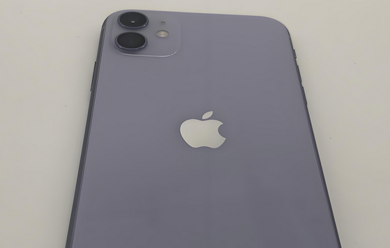 博白苹果11系统维修分享iPhone11手机系统崩溃无法开机如何解决 